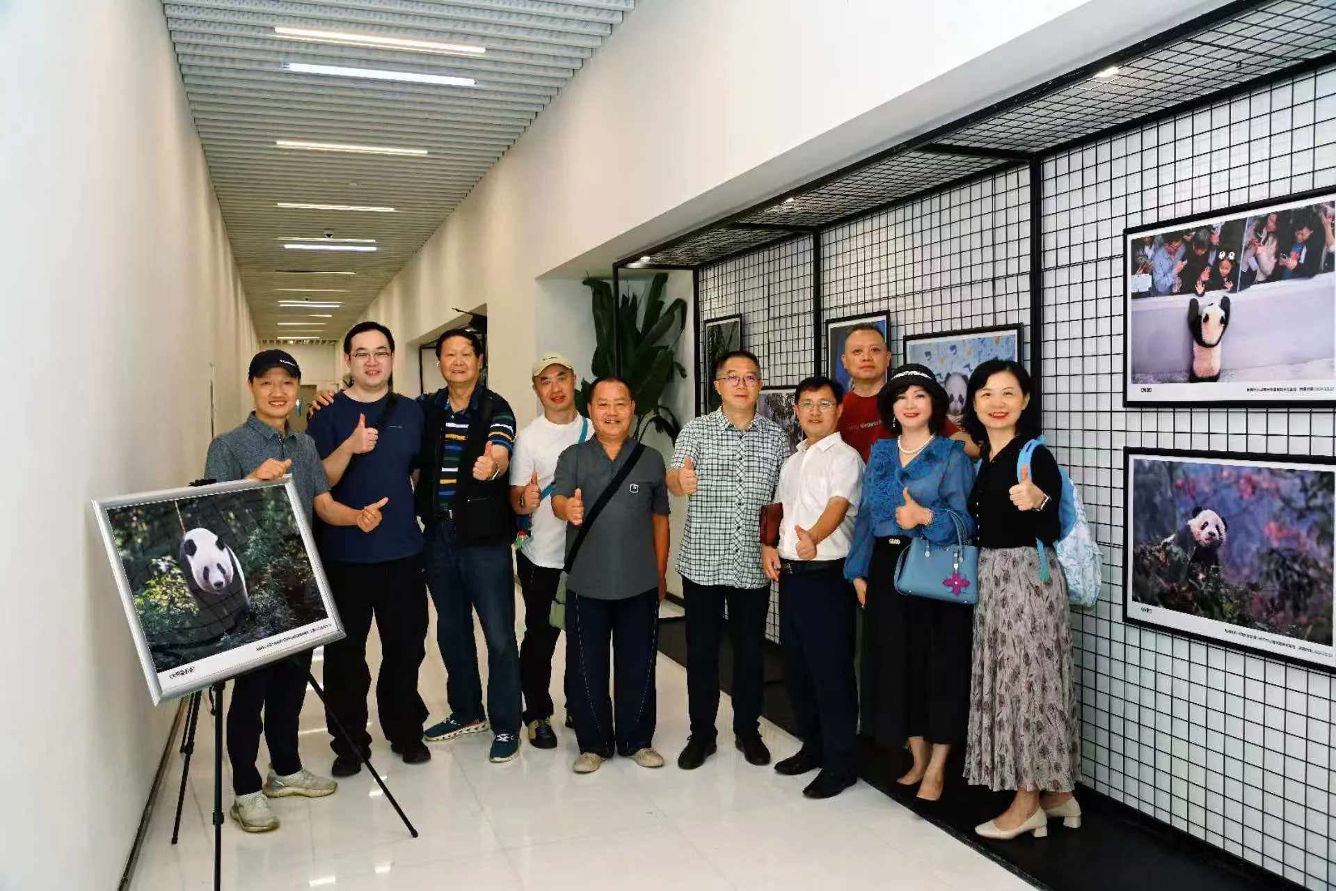 光影記錄國寶風采　「滾滾山河」大熊貓攝影展成都盛大登場